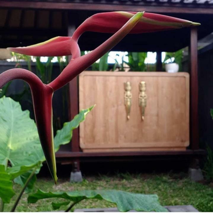 Villa Reisya นูซาดูอา ภายนอก รูปภาพ